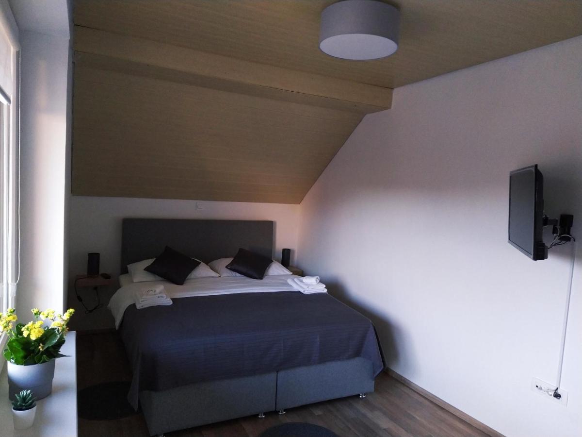 Apartment Trubarjeva33, Near Ljubljana, Free Parking Velike Lasce Exterior foto